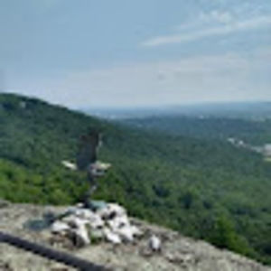 Meet your Posher, Timothy